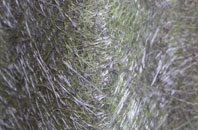 Orsett fibreglass roof work